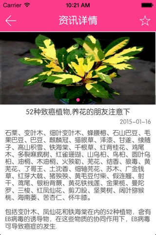 成都鲜花 screenshot 3