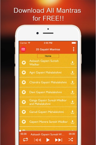 25 Free Gayatri Mantras - Free to Download and Listen Offline screenshot 2