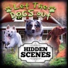 Hidden Scenes - Let the Dogs Out