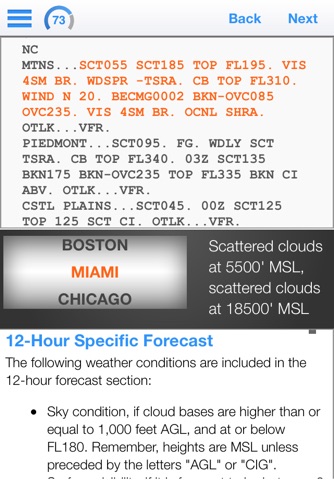 Aviation Weather Reports and Forecasts screenshot 4