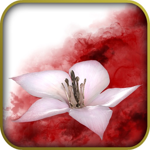 ProGame - Drakengard Version iOS App