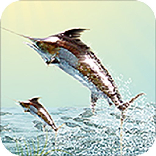 Match Fishing Icon