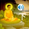 Get Agama Buddha audio story 2 for iOS, iPhone, iPad Aso Report