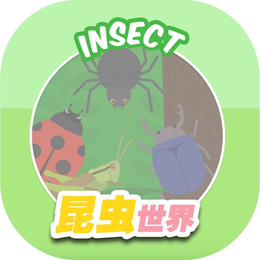 The Insect Kingdom