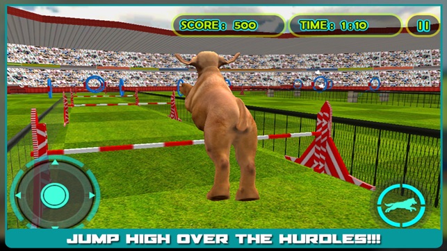 Dog Show Simulator 3D: Train puppies & perform amazing stunt(圖3)-速報App