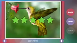Game screenshot Déjà Vu - Zoo hack