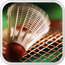 Activities of Badminton Challenge - Smash the bird