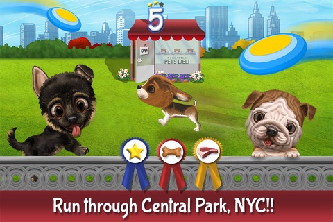 Dog’s Day In New York City - Shop For Dog Food & Play A Frisbee Catch Game In Central Park screenshot 3