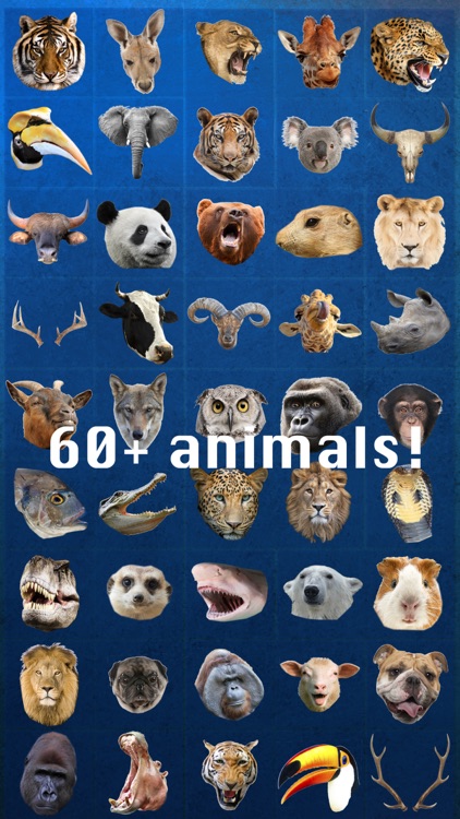 Animal Face Photo Booth screenshot-3