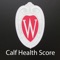 The Calf Health Scorer App was developed at the University of Wisconsin School of