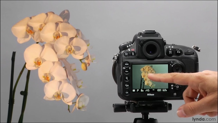 iD800 - Nikon D800 Guide And Review