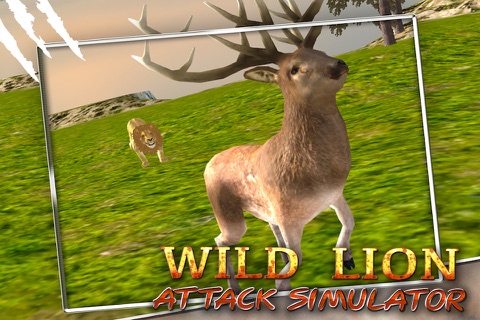 Wild Lion Attack Simulator 3D screenshot 2