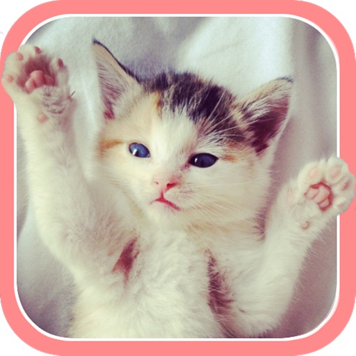 Cute Kitten and Puppy Sounds iOS App