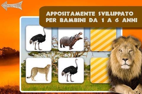 Free Memo Game Wild Animals Photo screenshot 2