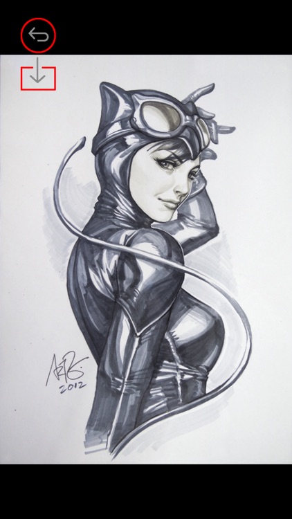 HD Wallpapers for Catwoman: Best Supervillainess Theme Artworks Collection