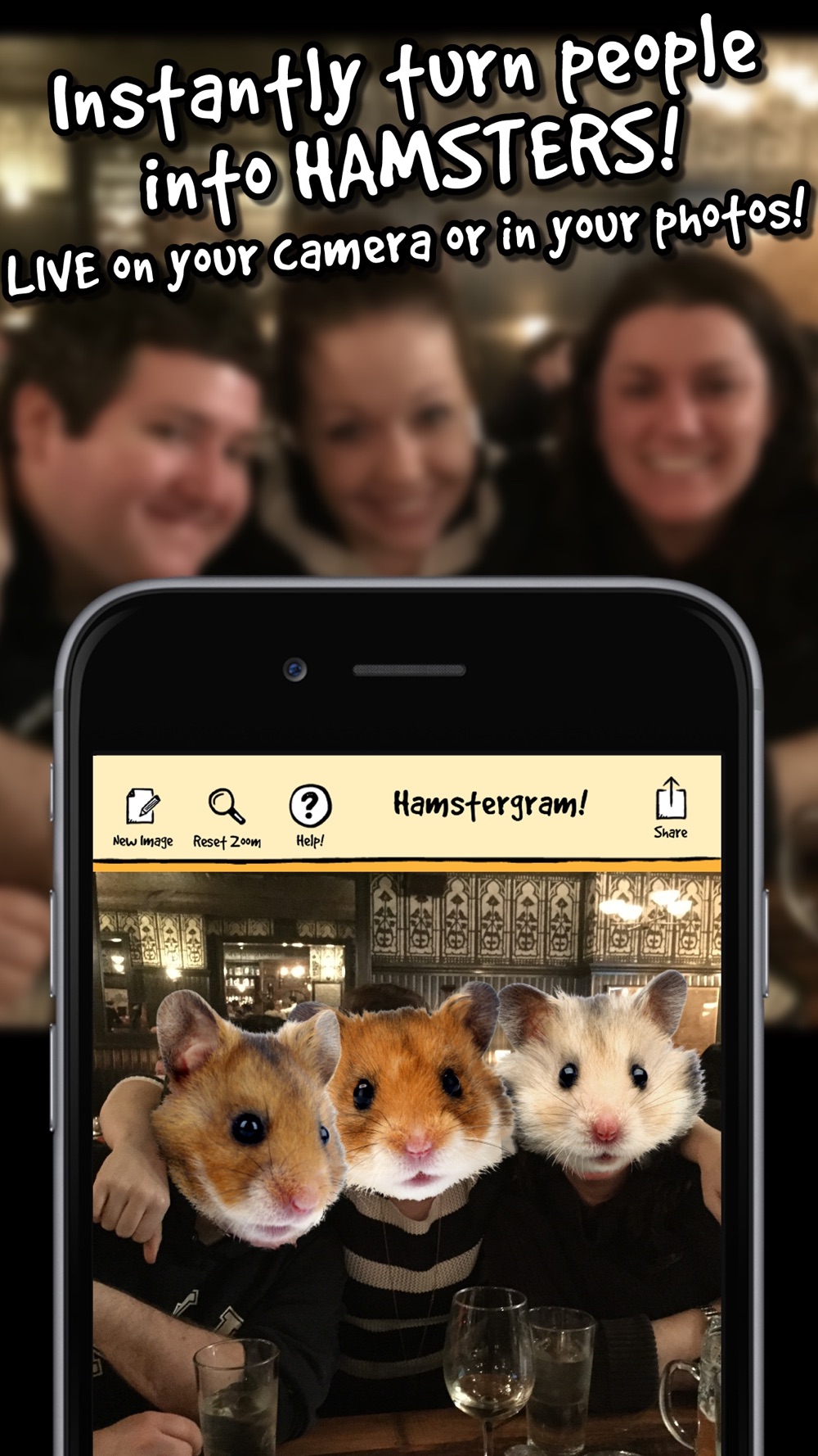 Hamster's cams. Hamster Live. Go Hamster IOS.