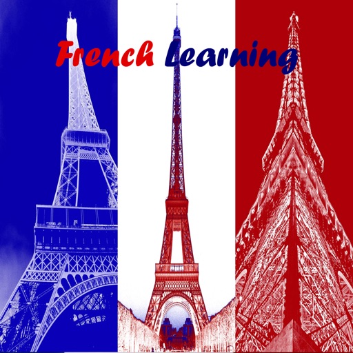 French Learning Guide - Best Video Guide icon