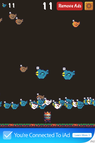 King Top Bird screenshot 3