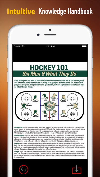 Ice Hockey 101: Quick Study Reference with Video Lessons and Glossary