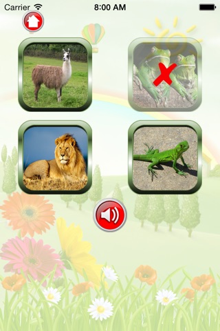 Wild Animal For Kid - Educate Your Child To Learn English In A Different Way screenshot 3