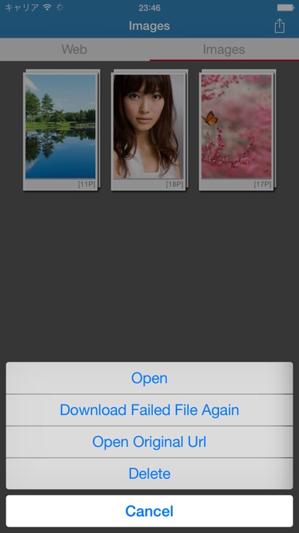 Awesome Web Image Collector Lite screenshot-3