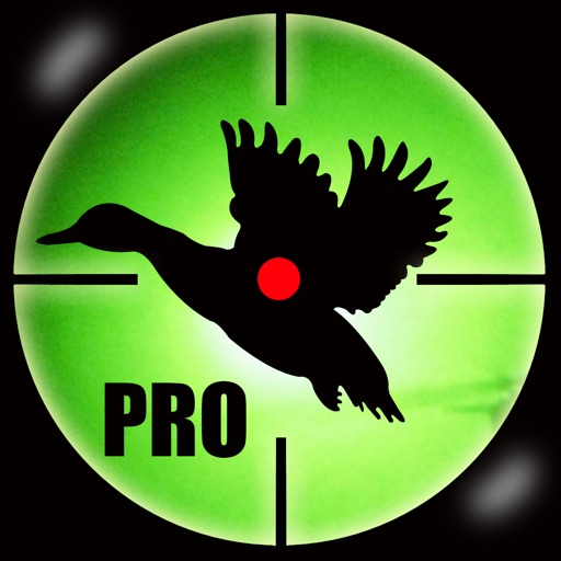 Ace Bird Sniper 2014 PRO - Hunting Birds & Animals, Adult Simulator Hunter Games icon