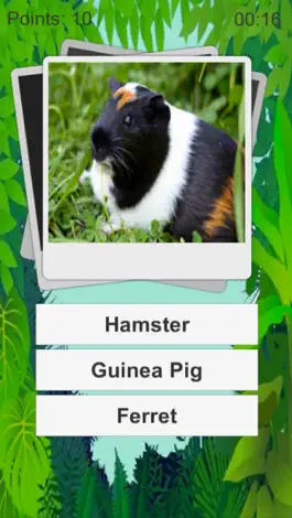 Game screenshot Animal Quiz Kids mod apk