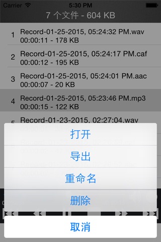 Audio Recorder-Recording Voice screenshot 4