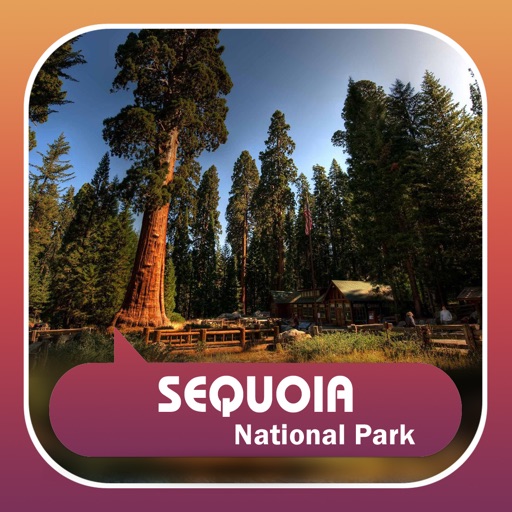 Sequoia National Park