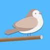Bird Trivia - Word Quiz Game