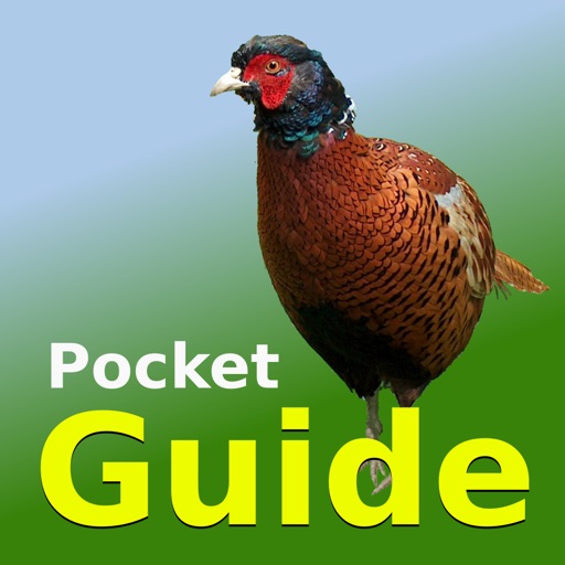 Pocket Guide UK Game icon