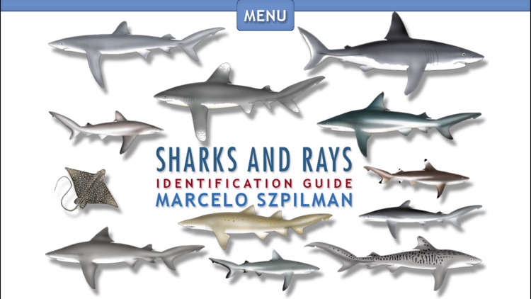 Sharks & Rays - Identification Guide