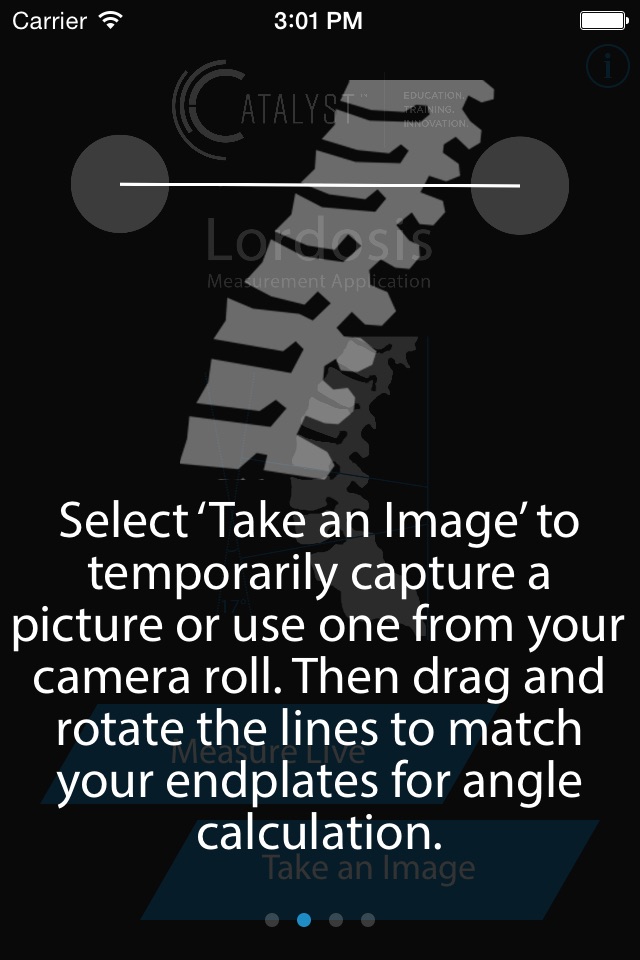 SAGI(SM) Clinical Solutions Lordosis Measurement Application screenshot 2