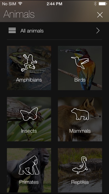 Animal Explorer: Sounds and Photos