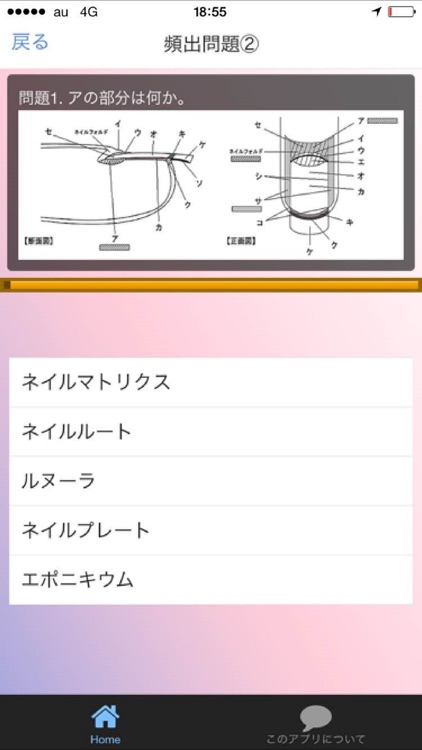 ネイリスト技能検定３級　過去問題集2016