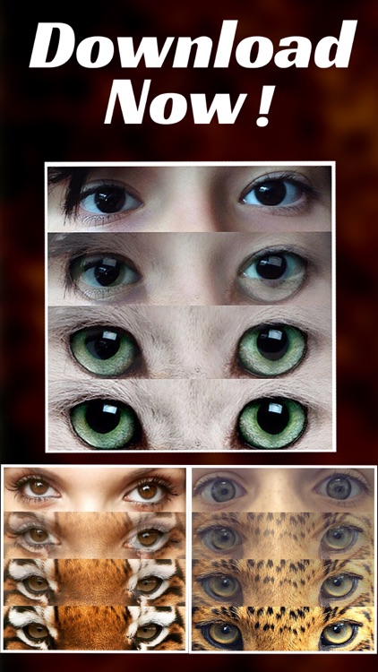 Animal Eyes Maker : Blend & Morph Into Funny Face With Tiger Eyes & Cats Eye
