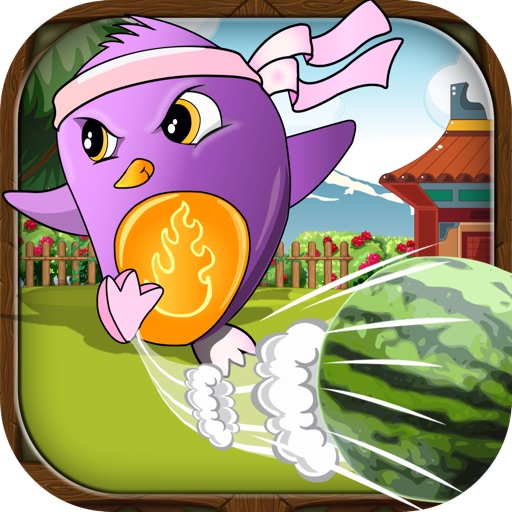 Bird Ninjas Flick - Fruit Slasher - Pro iOS App