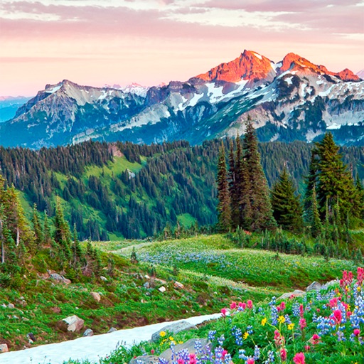 Mount Rainier National Park wallpapers icon