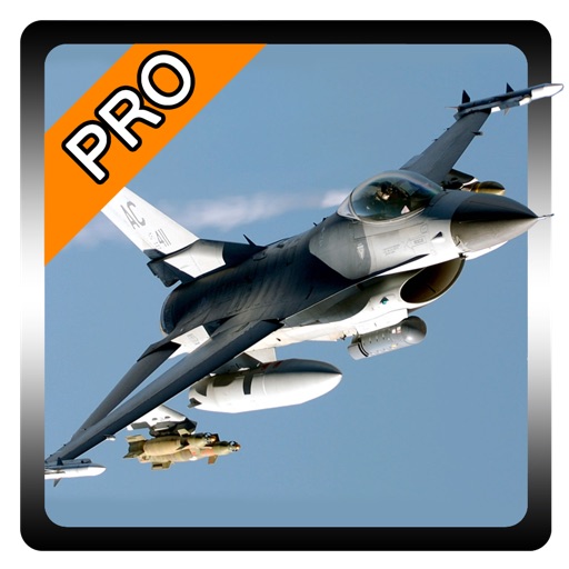 Air Strike Forever 3D Simulator Pro icon