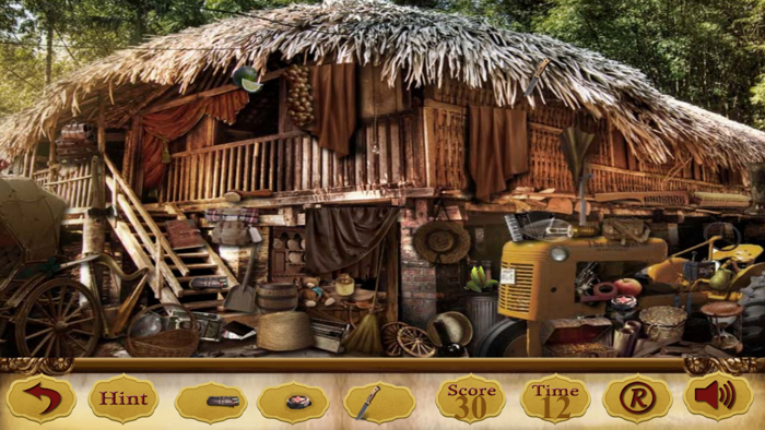 Hidden ObjectsThe Missing Nacklace