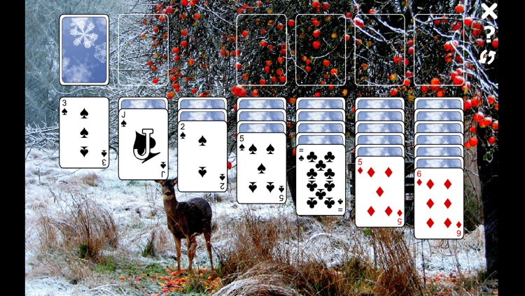 Winter Solitaire - Patience!