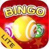 Super Jackpot Bingo Party LITE