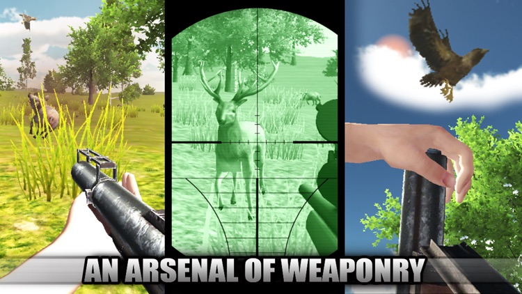 Ace Bird Sniper 2014 - Hunting Birds & Animals, Adult Simulator Hunter Games