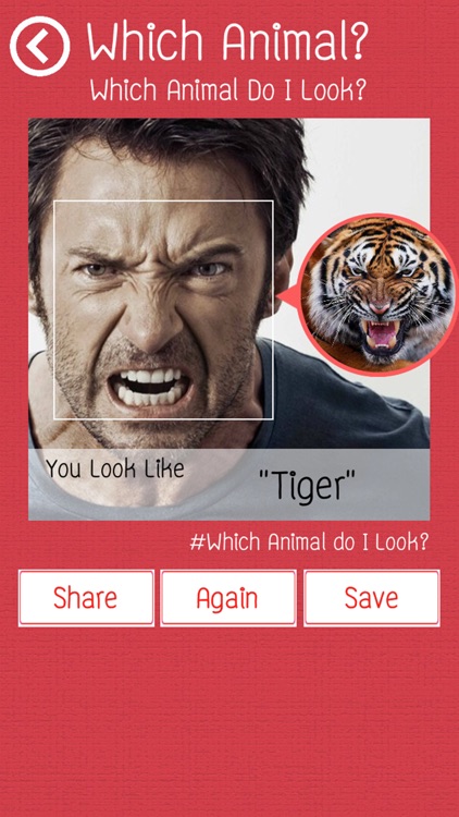 Which Animal Do I Look?