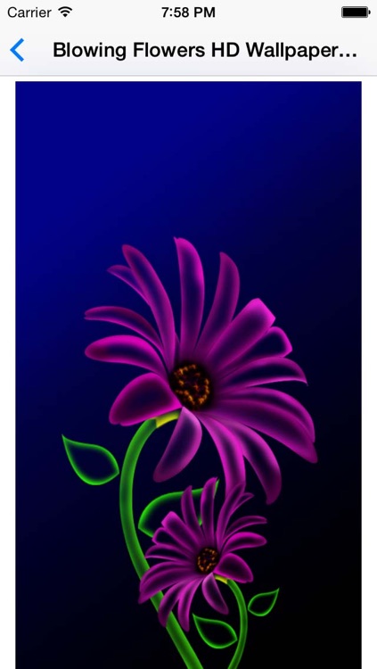 Blowing Flowers HD wallpaper for whatsapp screenshot-3