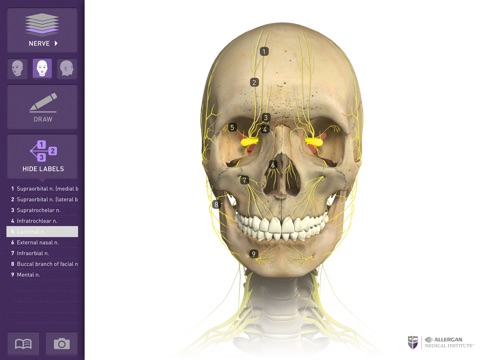Interactive Anatomy - UK & IRE screenshot 3