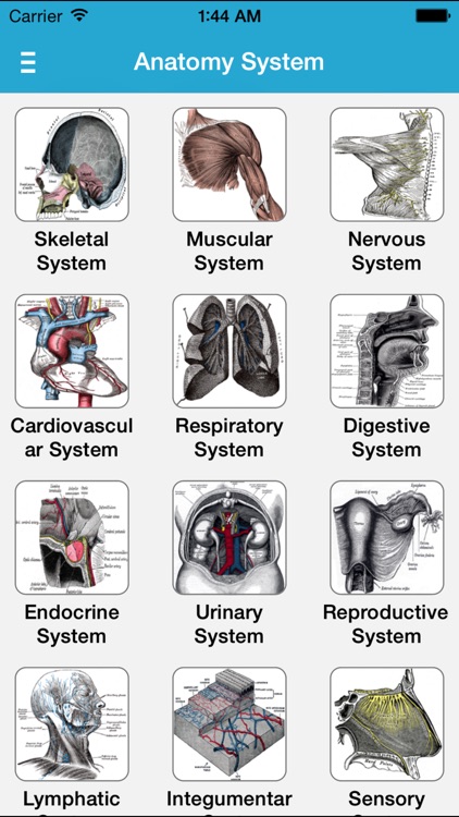 Gray's Anatomy 2014