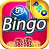 Color Balls PRO - Play Online Bingo and Lottery Card Game for FREE !