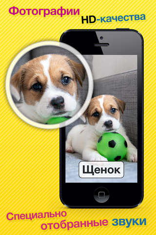 Скриншот из Smart Baby Touch HD - Amazing sounds in toddler flashcards of animals, vehicles, musical instruments and much more