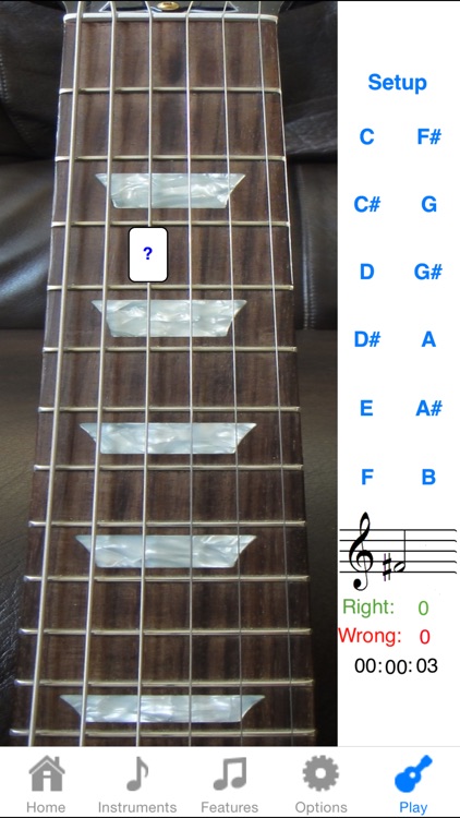 Electric Guitar Fretboard Addict FREE